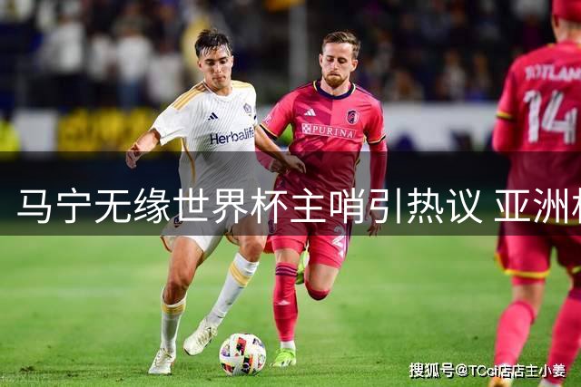 马宁无缘世界杯主哨引热议 亚洲杯或成"卡牌大师"新舞台